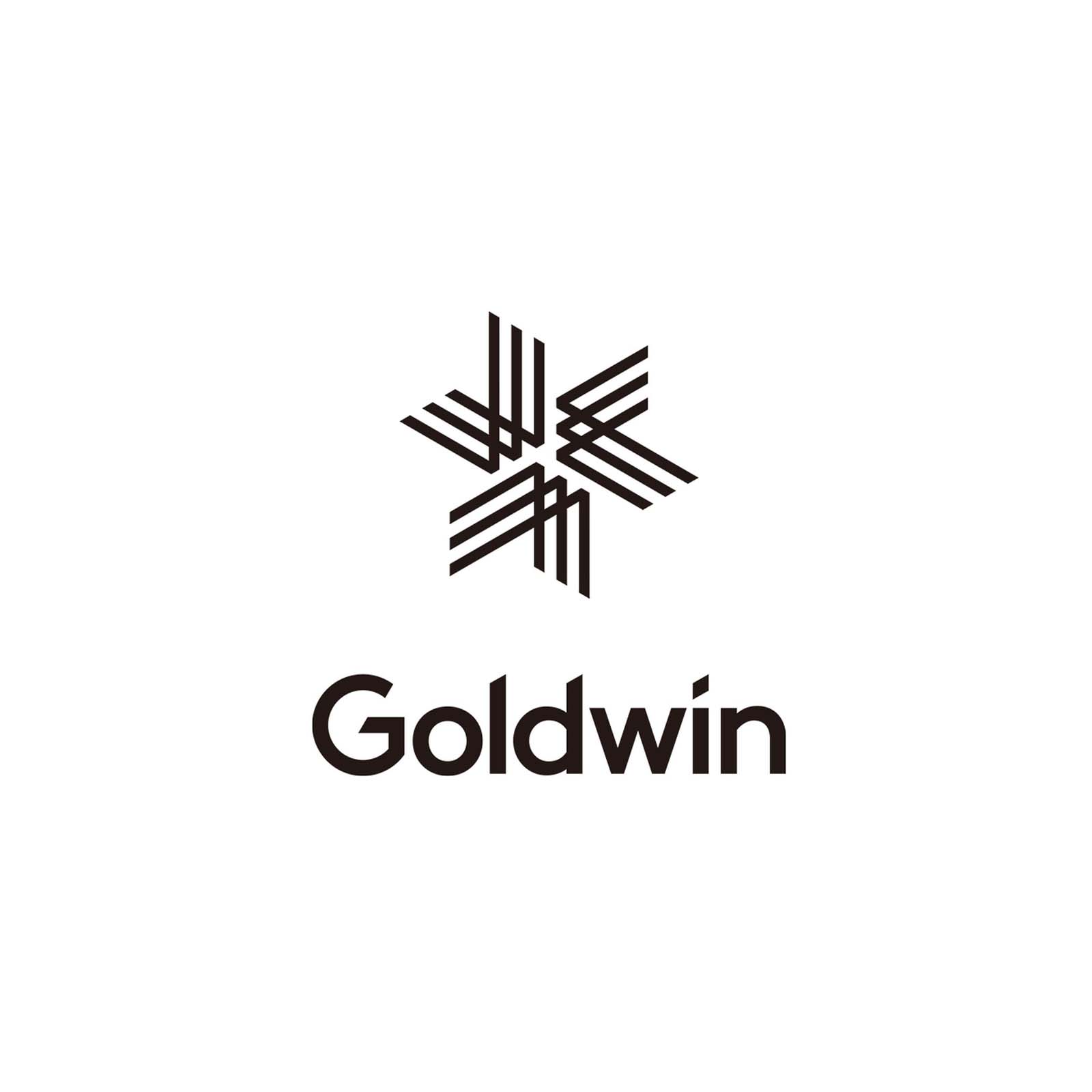Goldwin – Tempest Works